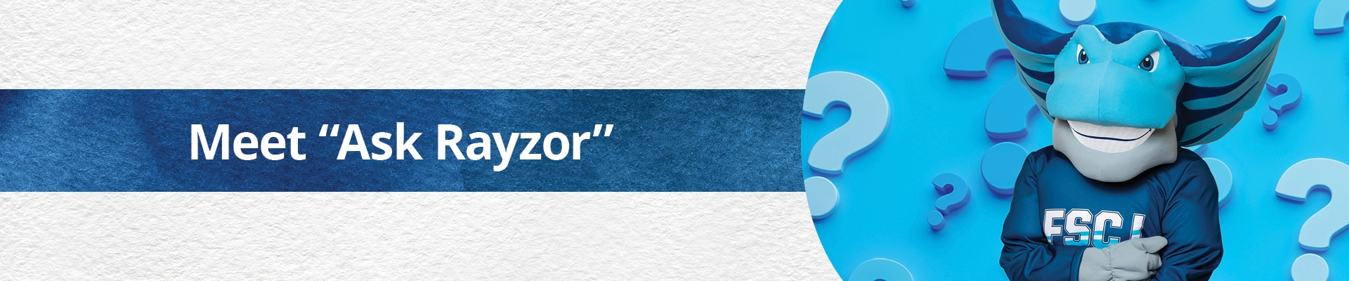 Meet Ask Rayzor