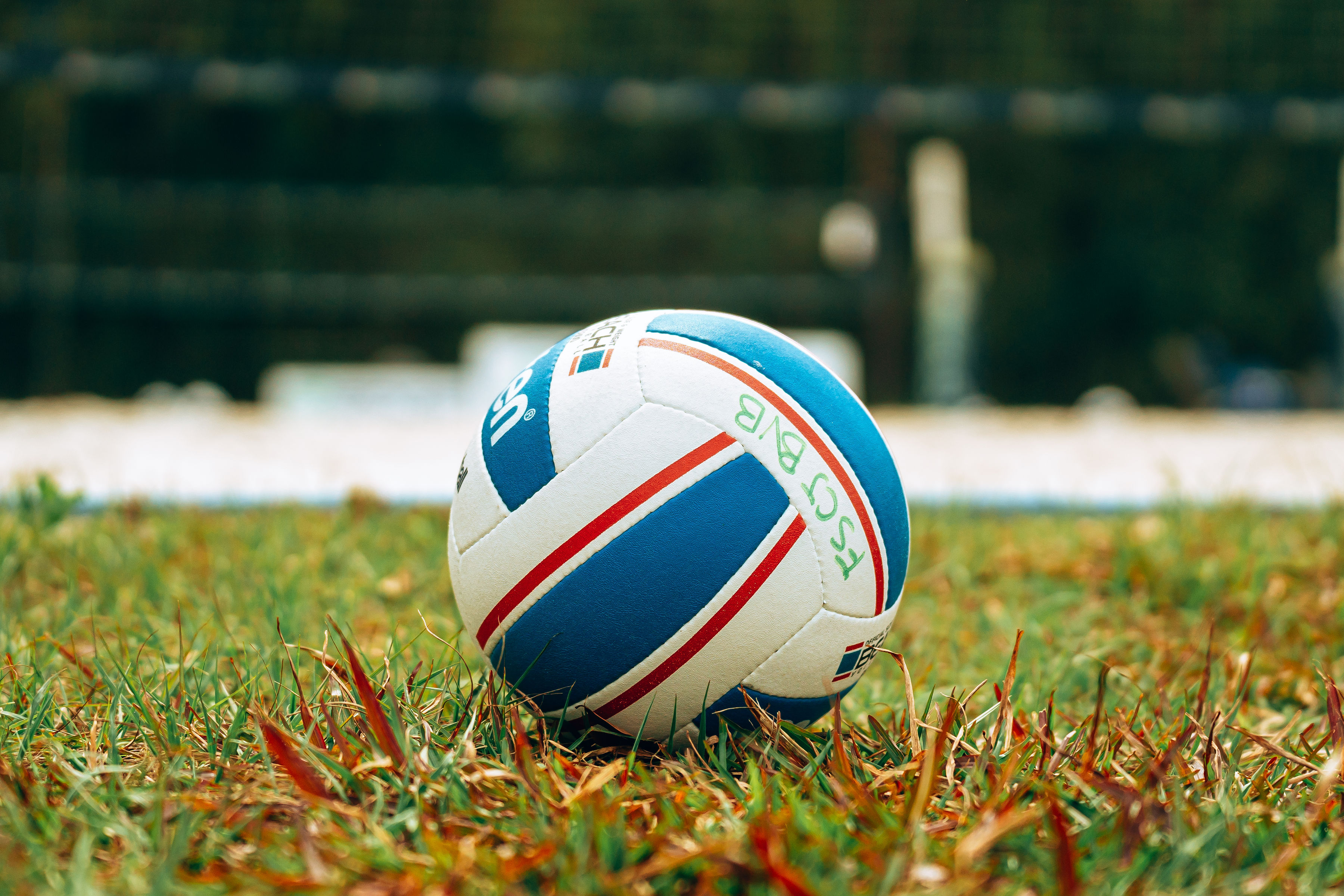 A volleyball on grass