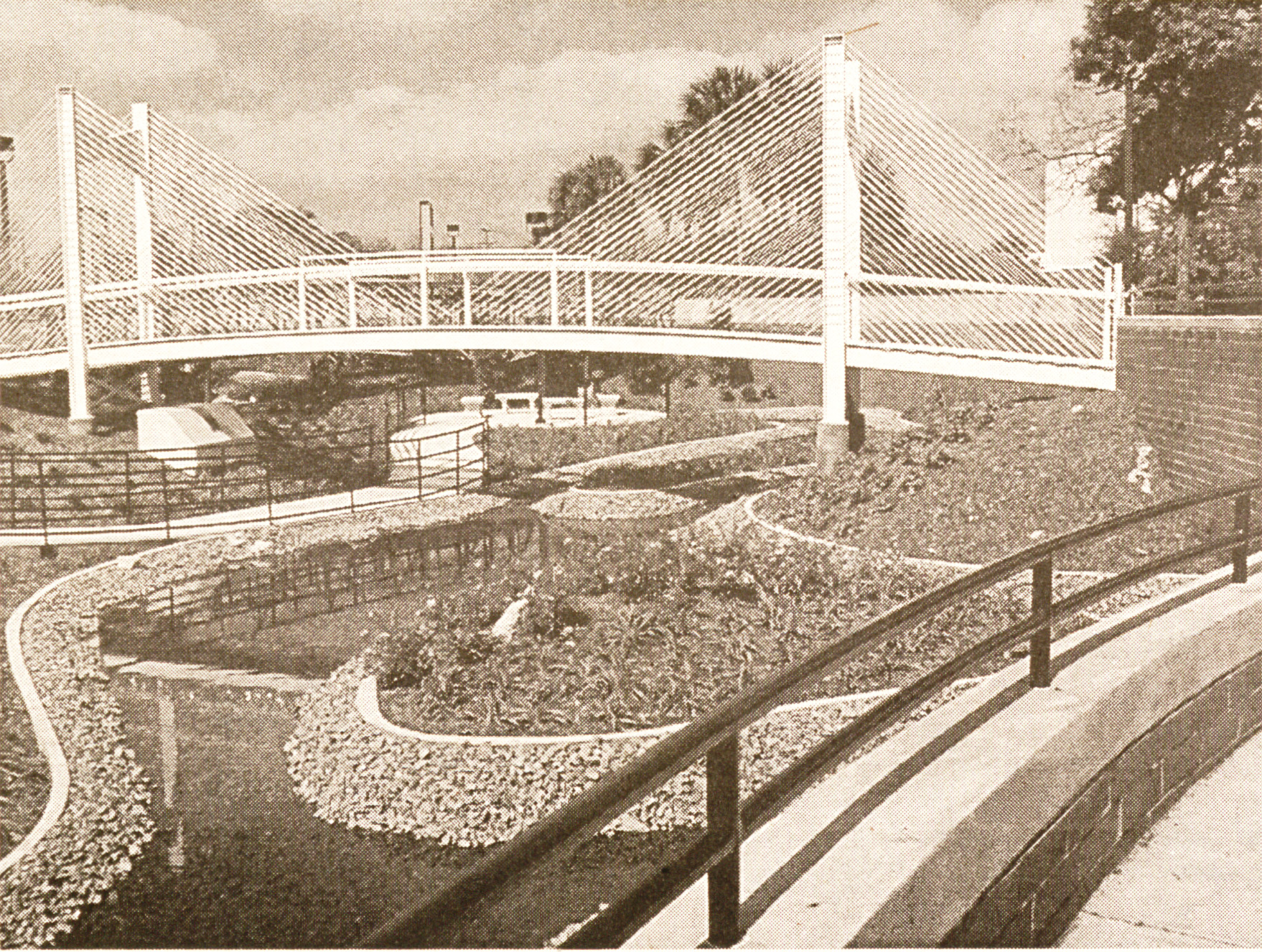 Image of new Cancer Park in The Campus Voice