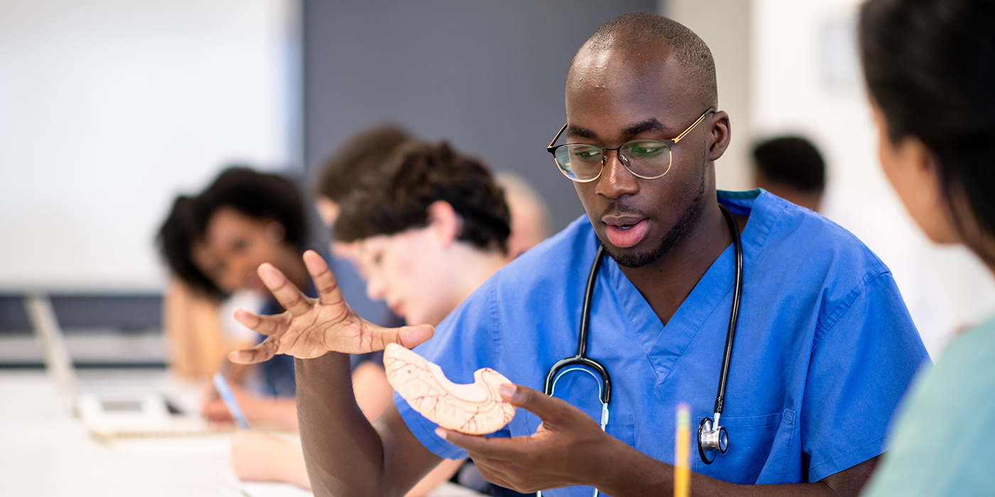 A man in medical scrubs examining a training model of a human organ