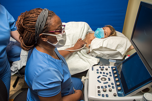 Cardiovascular technology image