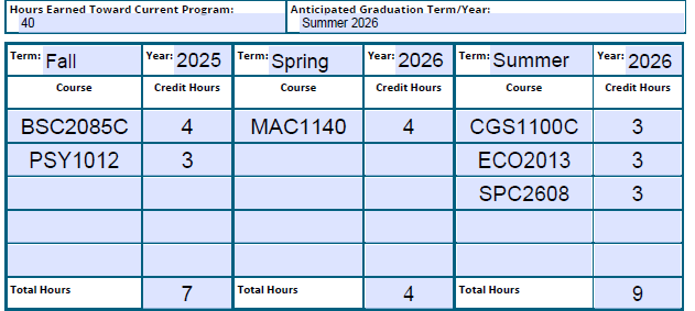 A sample image of a chart displaying a typical Academic Degree Plan